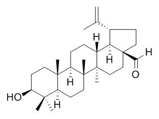 脱水穿心莲内酯琥珀酸半酯