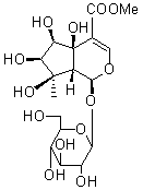 Phloyoside I