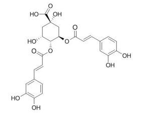 异绿原酸B（3,4-二咖啡酰奎宁酸）