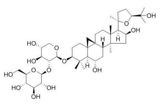 黄芪皂苷 III