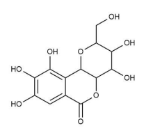 去甲岩白菜素